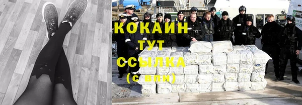 сатива Белокуриха