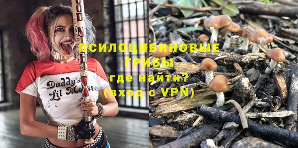 сатива Белокуриха