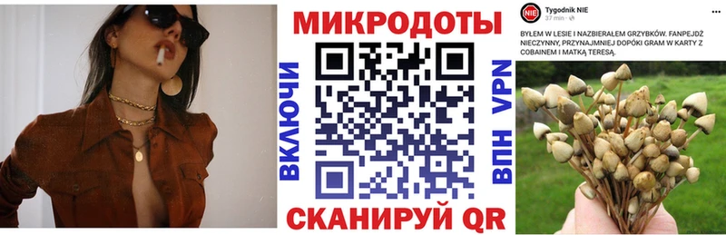 Псилоцибиновые грибы ЛСД цена Конаково